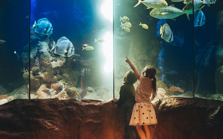 Photo of a two children, discovering underwater world in an aquarium