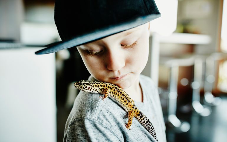 Young boy looking at pet leopard gecko resting on shoulder