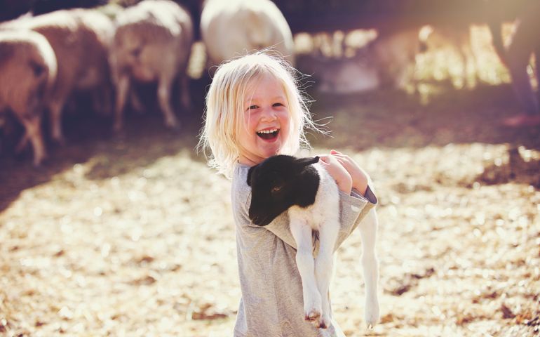 A beautiful smiling 4-5-year-old young girl holding a young black and white lamb in her arms whilst smiling in a sheep pen with other sheep and straw Koo Valley Montagu Klein Karoo Western Cape South Africa