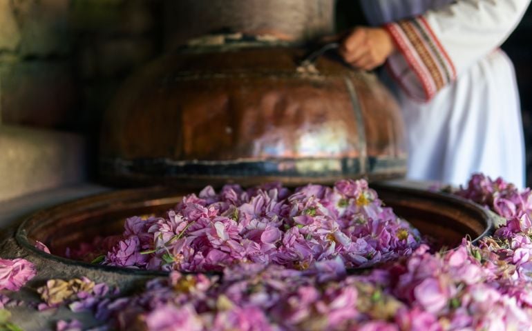 The peak оf the Damask rose essential oil production. Distillation process and extraction of the essential oil.