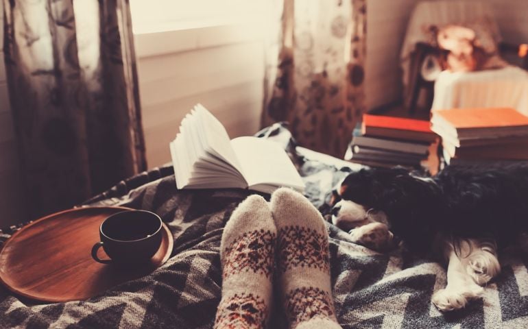 cozy winter day at home with cup of hot tea, book and sleeping dog. Spending weekend in bed, seasonal holidays and hygge concept