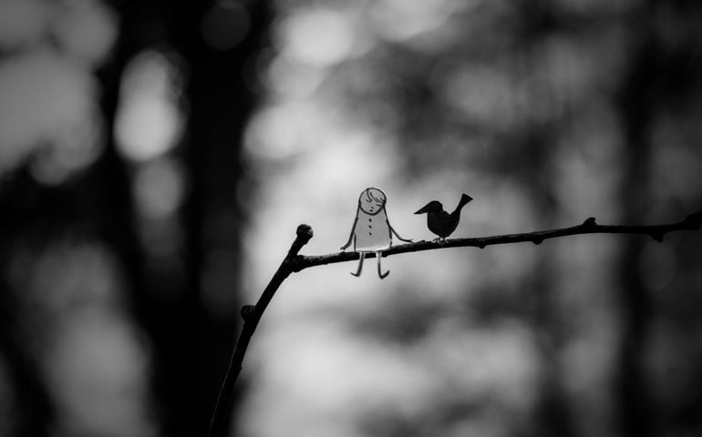 On the branch with birds