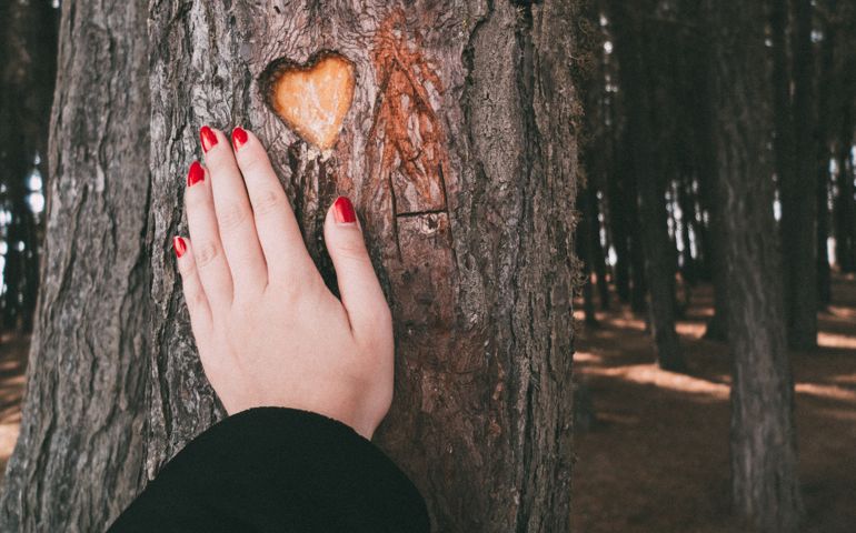 Image of a woman touching a tree trunk