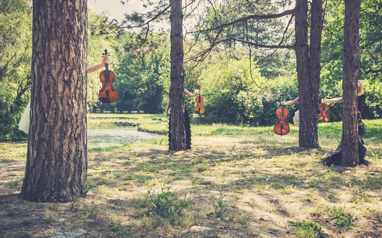 Music and nature concept. Female musical quartet with string instruments, one cello and three violins, hiding behind the trees, prepares to play in nature next to the river.