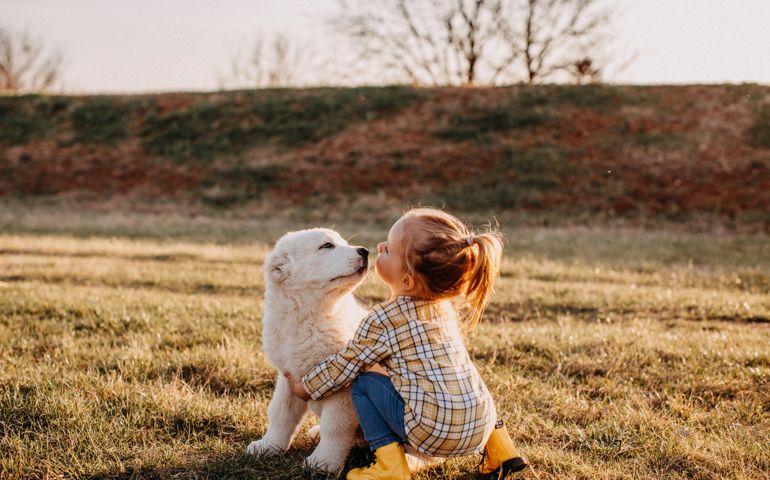 Alabai dog playing with young girl in meadow