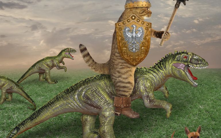 The cat knight with a spiked mace and a shield is riding the dragon in the field. His dog is next to him.