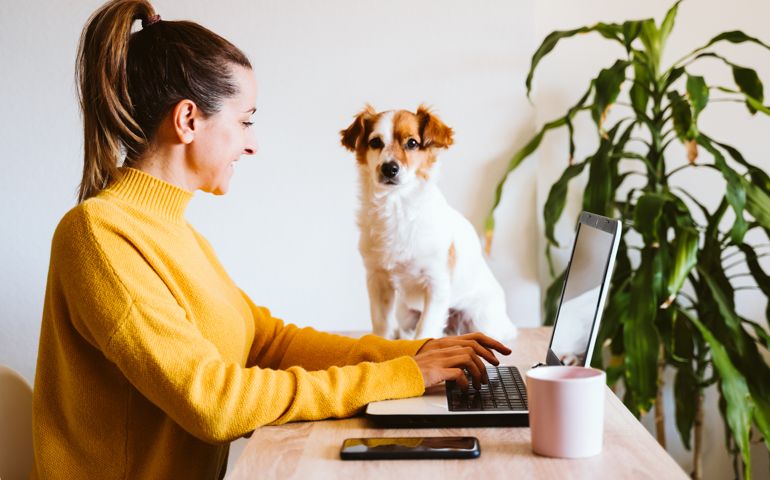 young woman working on laptop at home,cute small dog besides. work from home, stay safe during coronavirus covid-2019 concpt