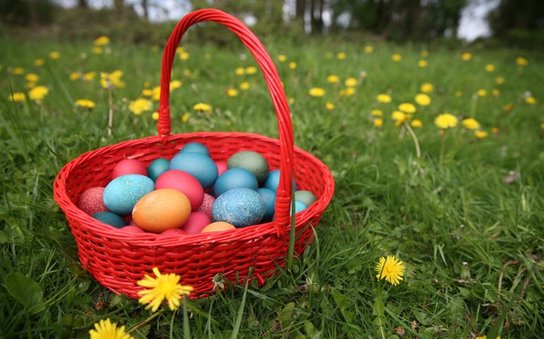 Colorful easter eggs in a basket. France.