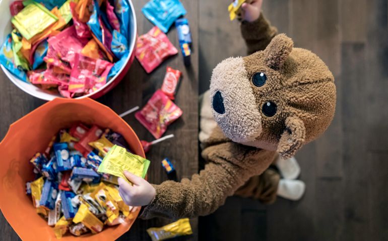 Cute Baby Boy inside Bear Costume Eating or Grabbing Candies at Halloween
