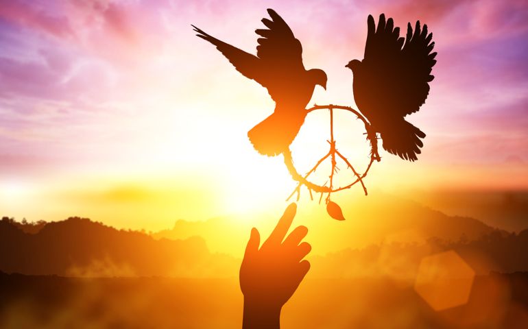 Silhouette of one helping hand desire to pacification sign shape and dove flying on sunset sky for freedom