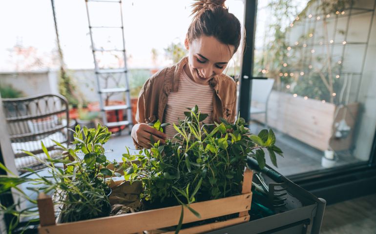 Young woman setting up and arranging greenery on her building terrace
