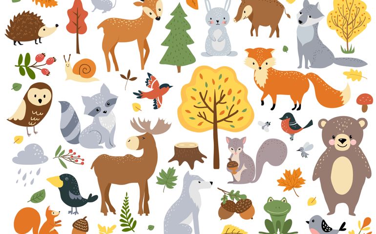 Woodland animals set, cute fox, bear, wolf, rabbit and birds. Perfect for scrapbooking, cards, poster, tag, sticker kit. Hand drawn vector illustration.