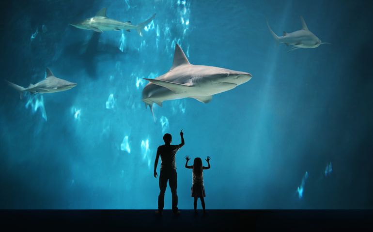 Father with daughter watching sharks in aquarium