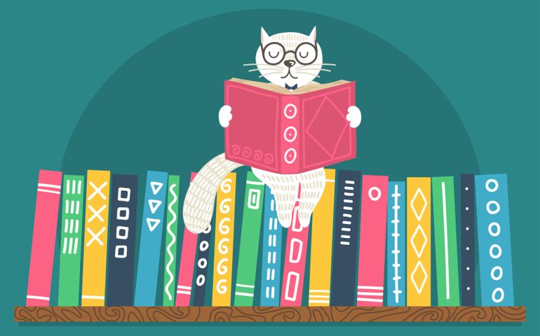 Bookshelf with fantasy clever white cat reading book on teal background