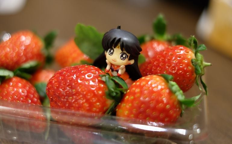 Japanese plastic model and strawberries with bokeh background