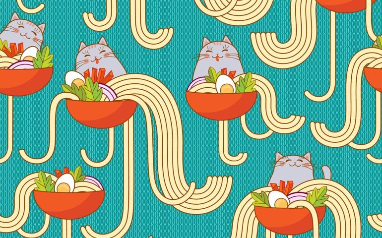 Plates of noodles and funny cats