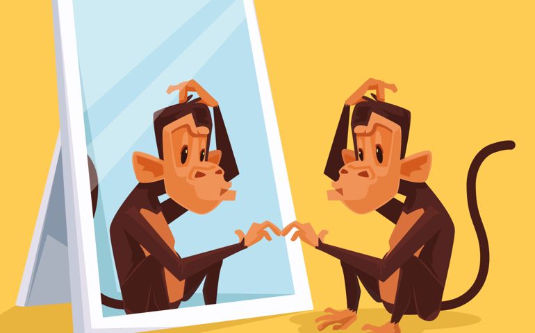 Monkey looks in mirror and did not understand who it is.