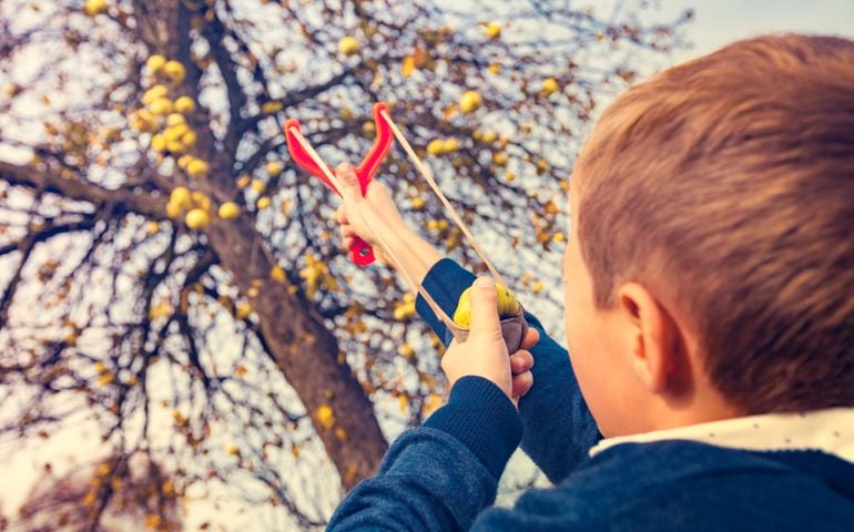 Boy shoots down apples from a slingshot. Boy harvested apples. Shoot with a slingshot