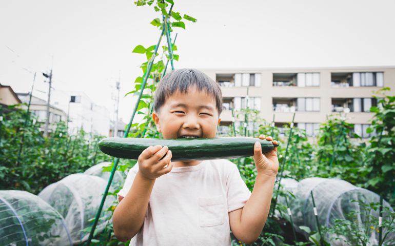 Boy eating cucumber in the farm