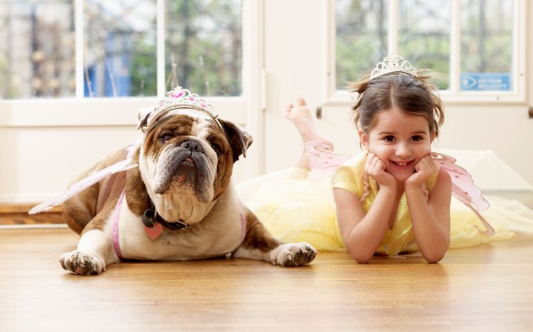 Girl and British Bulldog Playing Dressup