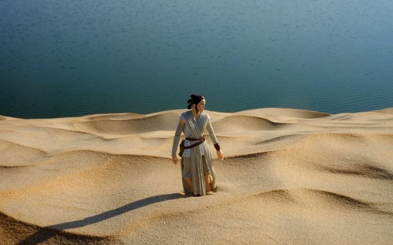 Rey in a desert sand and oasis lake