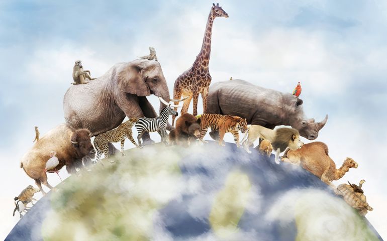 Conceptual image of wildlife around the planet earth can be used to celebrate World Animal Day