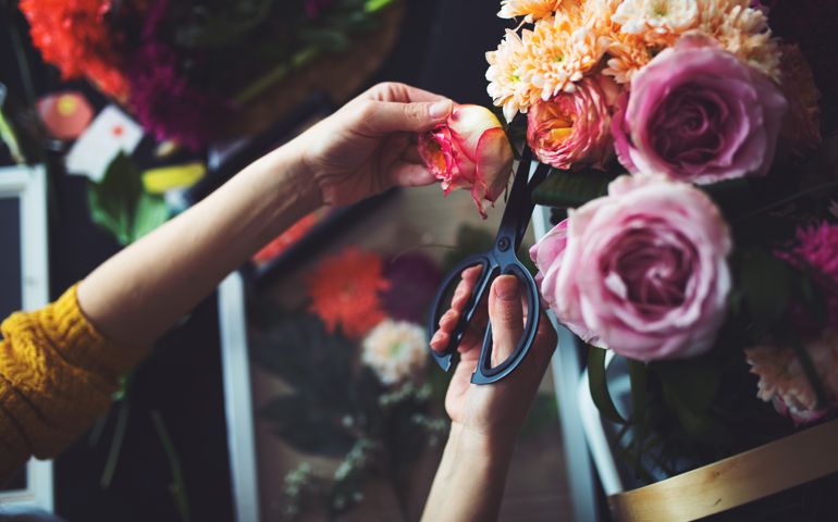 Hands that prick the flowers