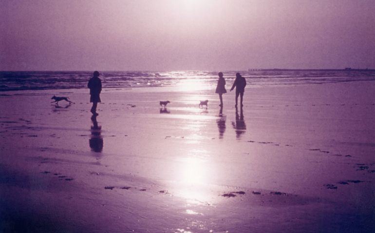 Couple and lone man walking with their dogs on sandy beach in Sussex.