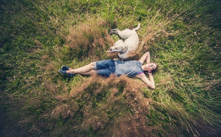 Teenage girl lying in the tall grass with her Golden Labrador dog by her side
