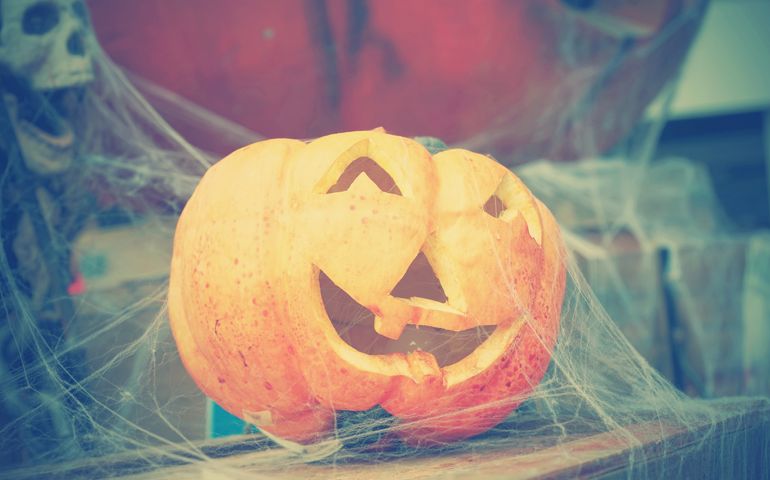 halloween scary pumpkin in instagram style