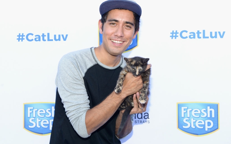 BEVERLY HILLS, CA - OCTOBER 25: YouTube personality Zach King attends an unveiling of 'Cat Luv' Mural at Los Angeles Animal Shelter at The Amanda Foundation on October 25, 2017 in Beverly Hills, California.