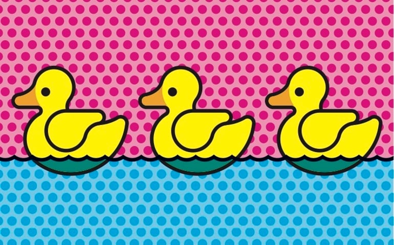 Swimming baby ducks