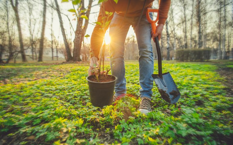 Unrecognised person gardening in spring