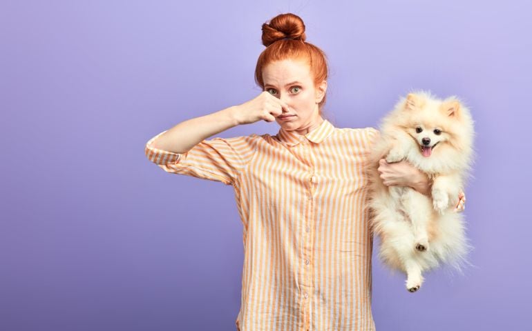 funny girl with stylish striped shirt closing her nose, as the dog is farting. close up portrait. unpredictable situation, isolated blue background, studio shot.