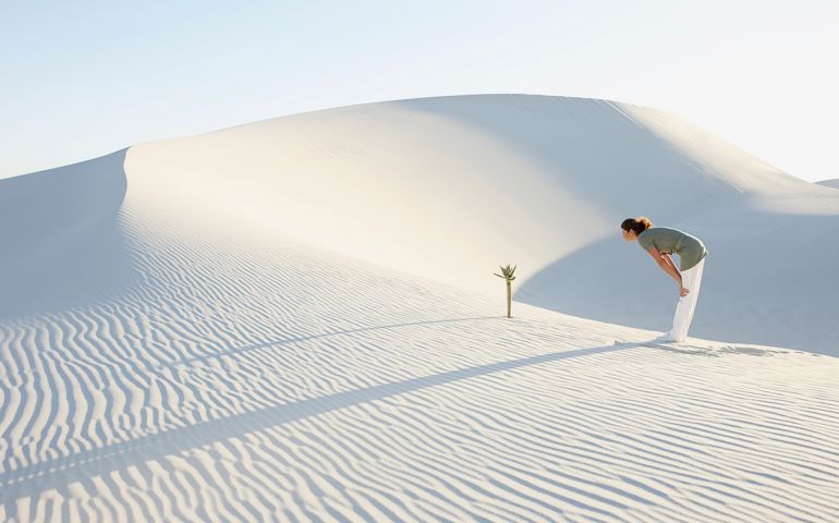 Woman Looking at Tree Growing in Desert