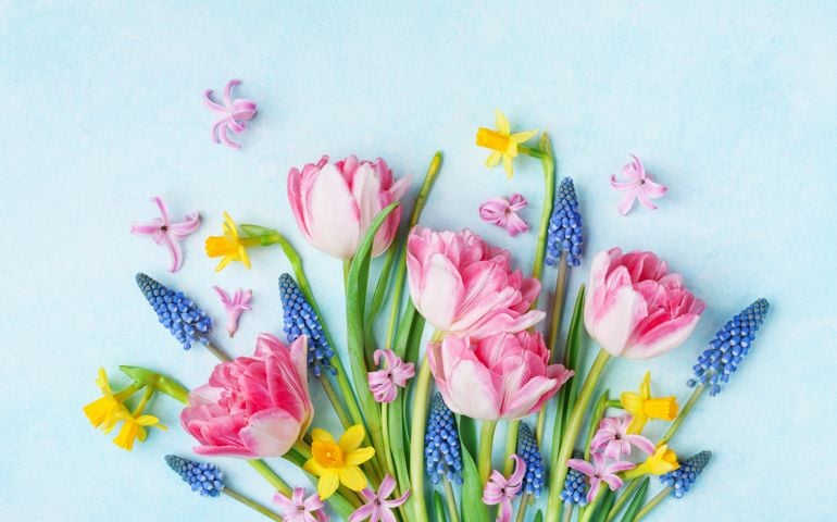 Bouquet of beautiful spring flowers on pastel blue table top view