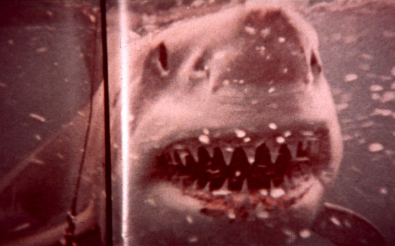 Kino. Der weisse Hai, (JAWS) USA, 1974, Regie: Steven Spielberg, Stichwort: Zähne. Bestie.