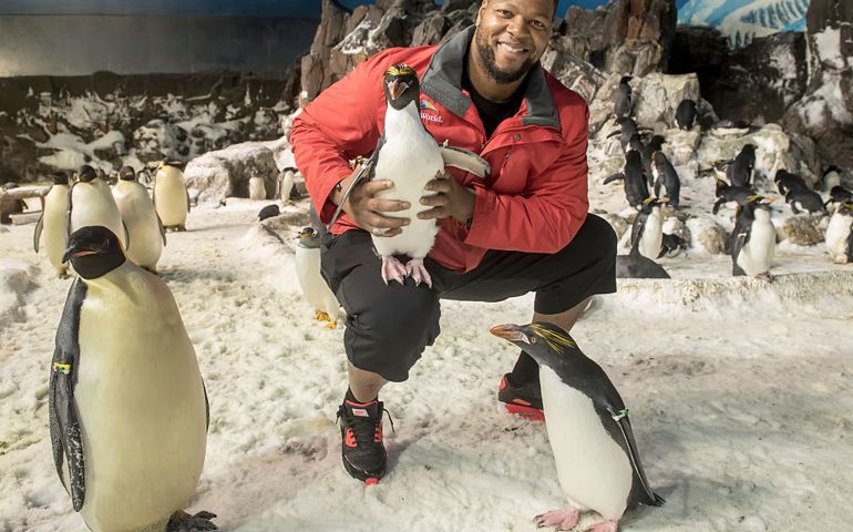 SAN DIEGO, CA - MARCH 18: In this handout photo provided by SeaWorld San Diego, Ndamukong Suh of the Miami Dolphins visits the 25 degree Penguin Encounter at SeaWorld San Diego on March 18, 2016 in San Diego, California.