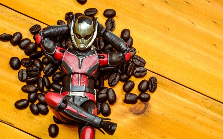 Ant man Sleeping on fresh coffee beans