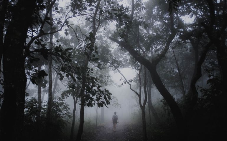 Halloween day with the girl walking to the deep forest.