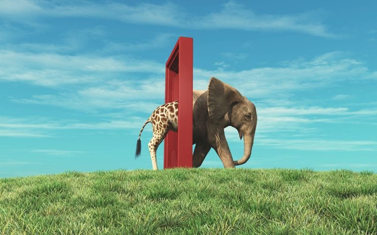 Giraffe entering a door and gets out as an elephant