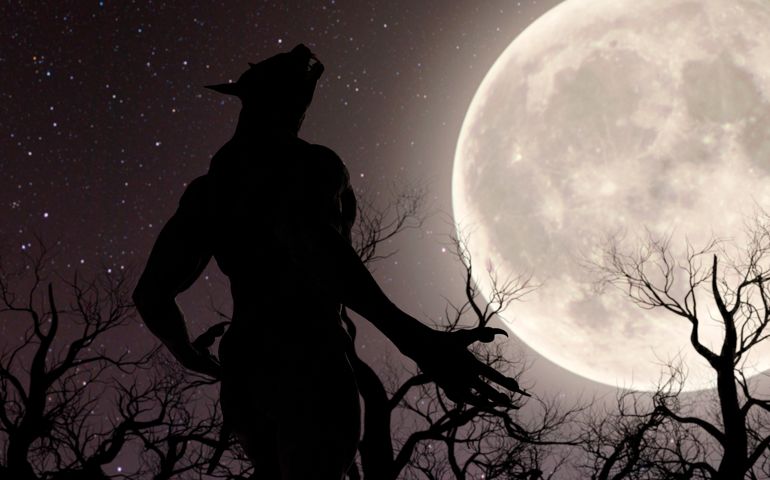 Illustration of a werewolf during the full moon in the creepy forest - 3d rendering