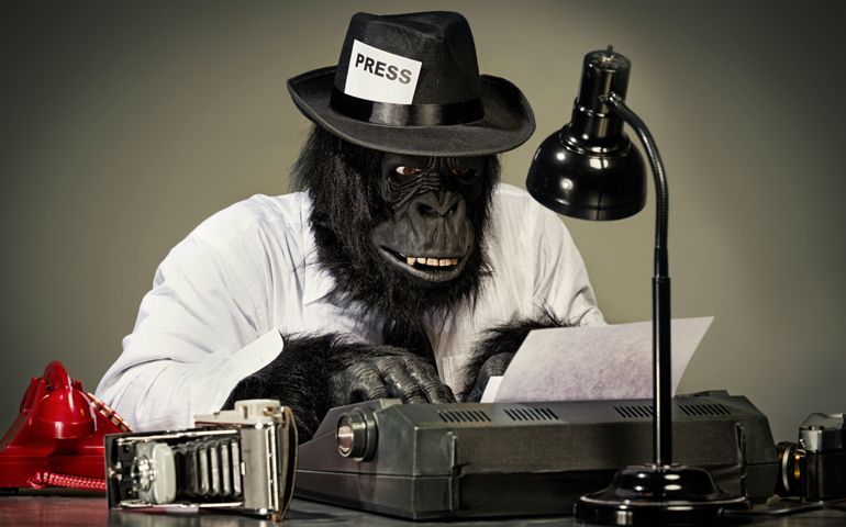 A gorilla reporter working feverishly on his news story.