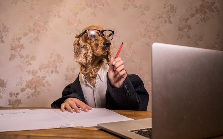 The dog in the suit is working on a computer