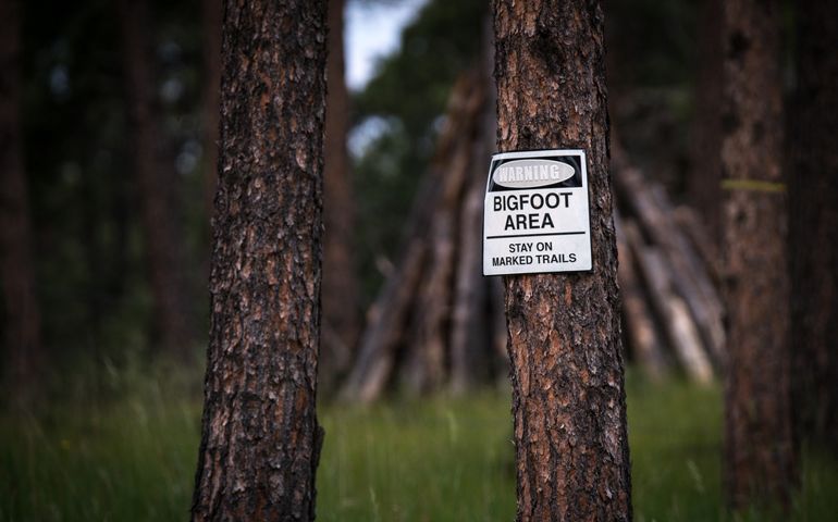 Warning Bigfoot Area