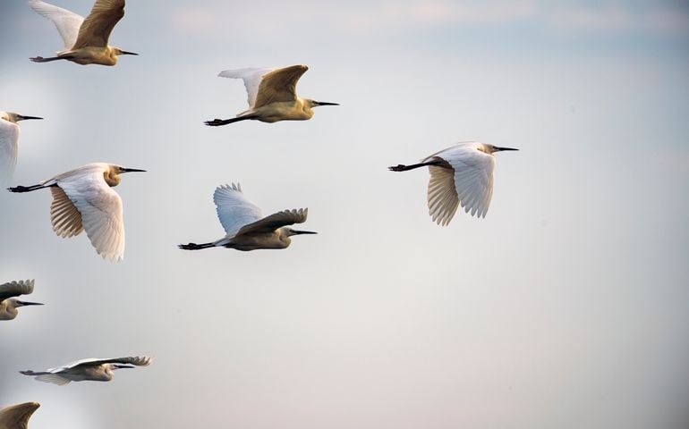 Leadership Concepts