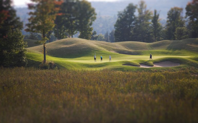 golfers golfing on a golf course