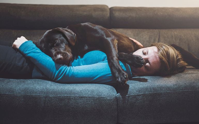 Pet dog asleep on woman