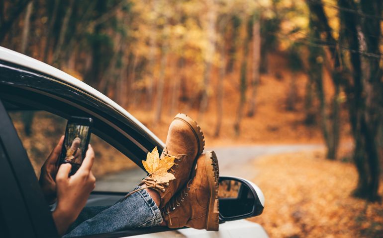 Woman takes picture of bright yellow leaf with mobile phone sticking legs out of car window in picturesque autumn forest