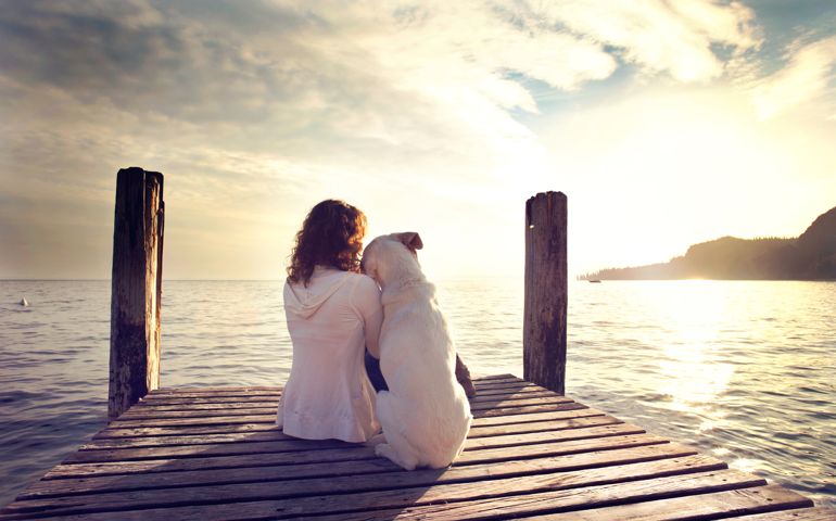 dog rests gently on his master's shoulder while looking the view